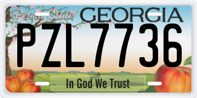 GA license plate PZL7736