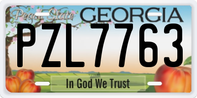 GA license plate PZL7763