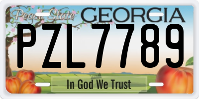 GA license plate PZL7789
