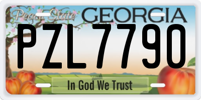 GA license plate PZL7790