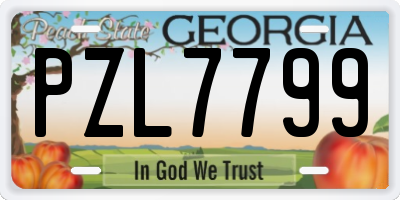 GA license plate PZL7799