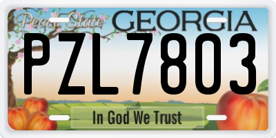 GA license plate PZL7803
