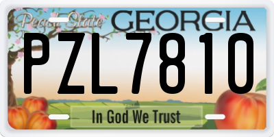 GA license plate PZL7810