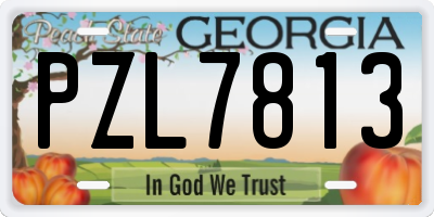 GA license plate PZL7813