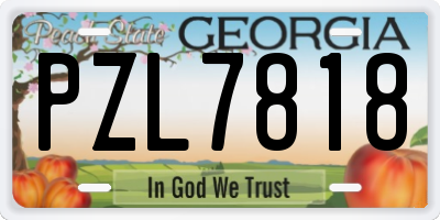 GA license plate PZL7818