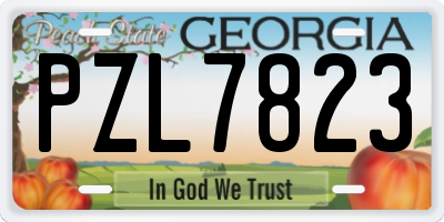 GA license plate PZL7823