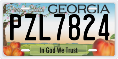 GA license plate PZL7824