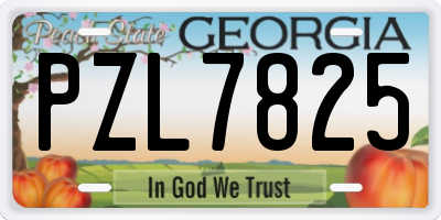 GA license plate PZL7825
