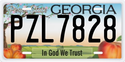 GA license plate PZL7828