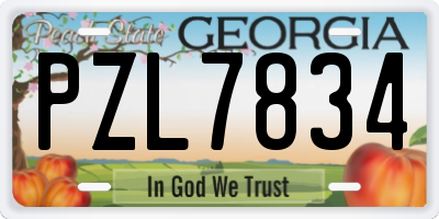 GA license plate PZL7834