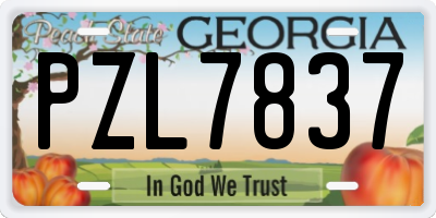 GA license plate PZL7837