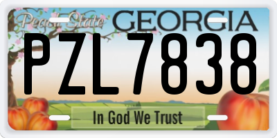 GA license plate PZL7838