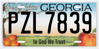 GA license plate PZL7839