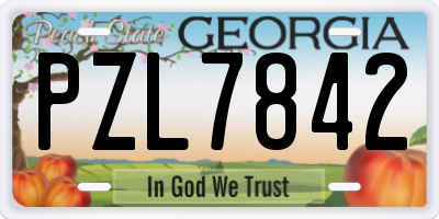 GA license plate PZL7842