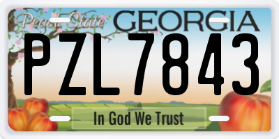 GA license plate PZL7843