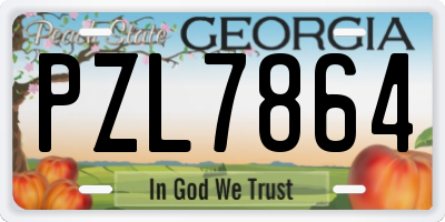 GA license plate PZL7864