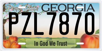 GA license plate PZL7870
