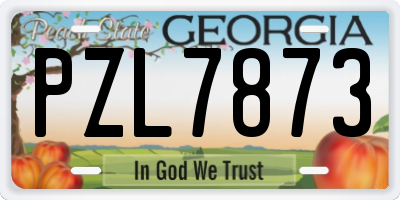 GA license plate PZL7873
