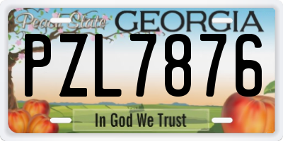 GA license plate PZL7876