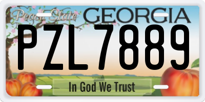 GA license plate PZL7889