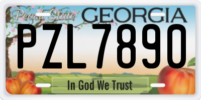 GA license plate PZL7890