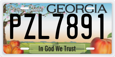 GA license plate PZL7891