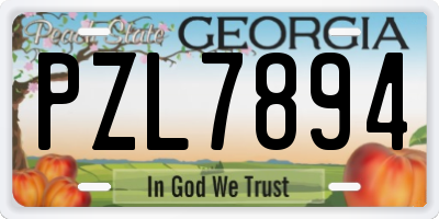 GA license plate PZL7894