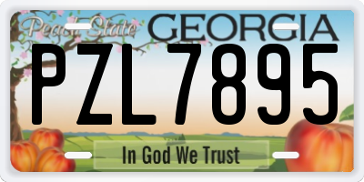 GA license plate PZL7895