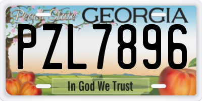 GA license plate PZL7896