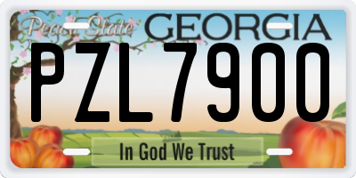 GA license plate PZL7900