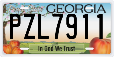 GA license plate PZL7911