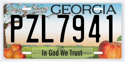 GA license plate PZL7941