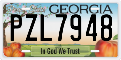 GA license plate PZL7948