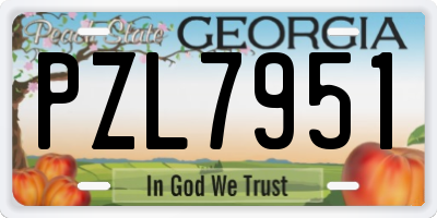 GA license plate PZL7951