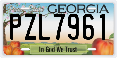 GA license plate PZL7961