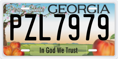 GA license plate PZL7979