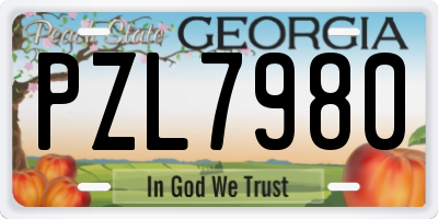 GA license plate PZL7980