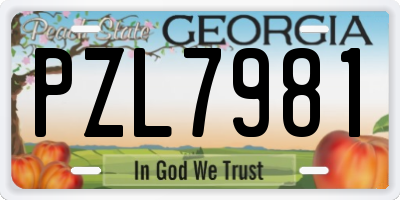 GA license plate PZL7981