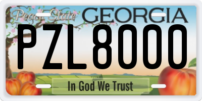 GA license plate PZL8000
