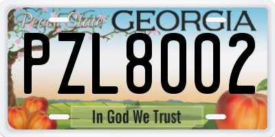 GA license plate PZL8002