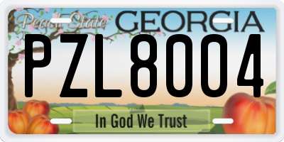 GA license plate PZL8004