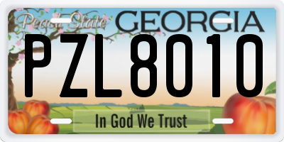 GA license plate PZL8010