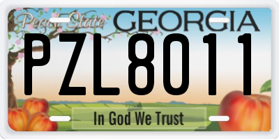GA license plate PZL8011