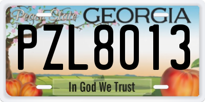 GA license plate PZL8013