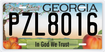 GA license plate PZL8016