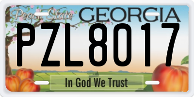 GA license plate PZL8017