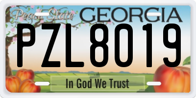 GA license plate PZL8019