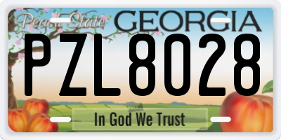 GA license plate PZL8028