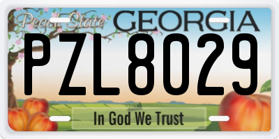 GA license plate PZL8029
