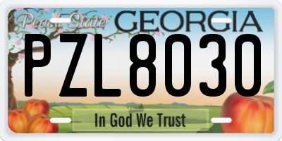 GA license plate PZL8030